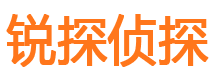 城固市调查公司